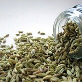 Fenchel